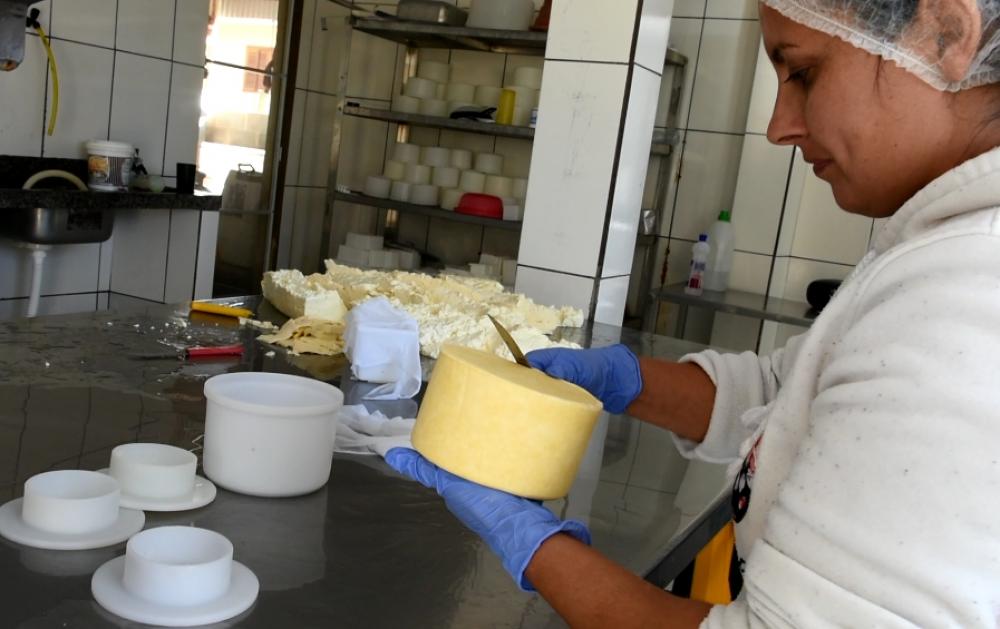 Com vistas para regularização do queijo de leite cru, Agricultura abre cadastro de produtores