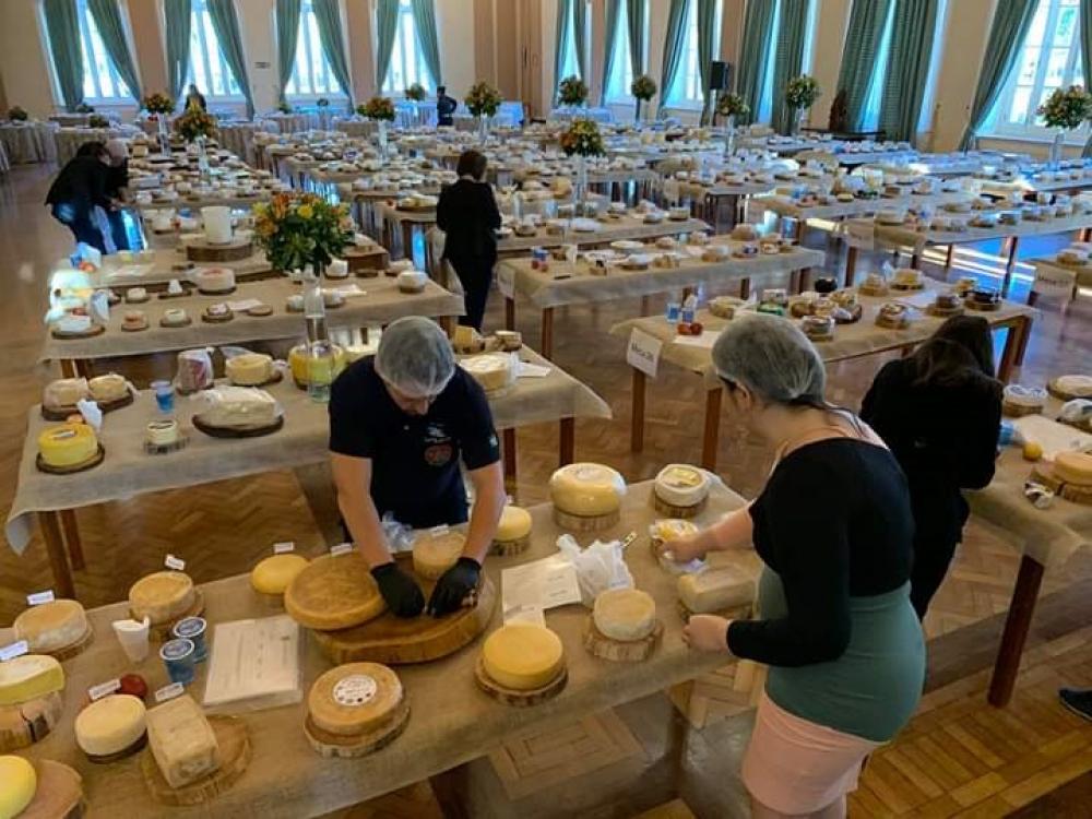 Queijo de Chopinzinho é premiado com medalha de prata em concurso internacional